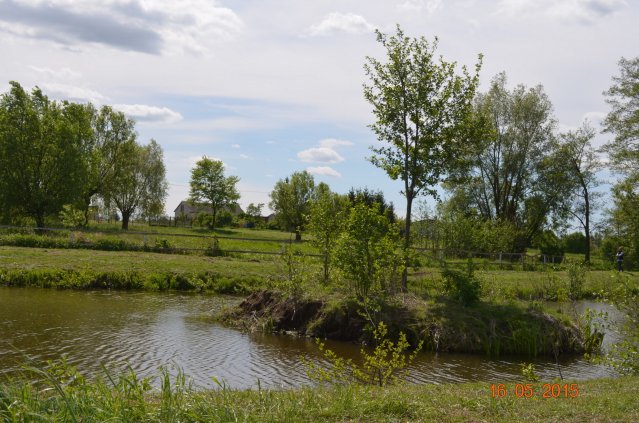 marsz g 2015 335 kopiowanie